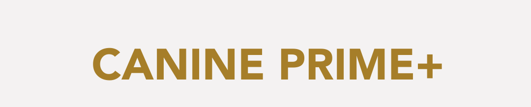 CANINE PRIME